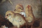 Afbeelding 7 van 12