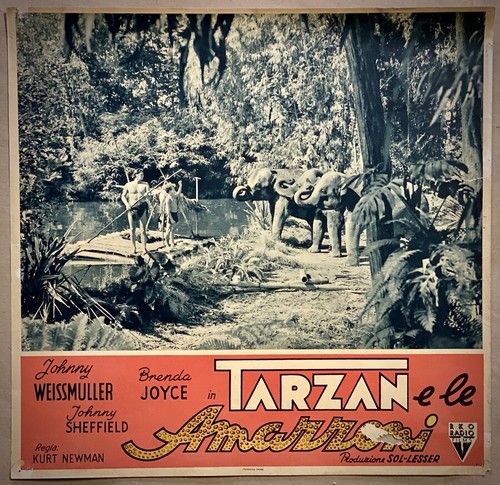 Tarzan And The Amazon - Lobby Card - Fotobusta -johnny Weissmuller, | eBay