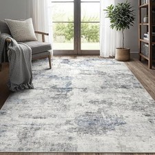 5x7 Area Rug - Washable Non Slip Indoor Rug for Living Room, Kid Pet