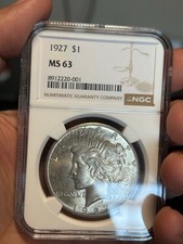 1927-P Peace Silver Dollar $1 NGC MS63. End Roll Toner. Unique Shades. Classic