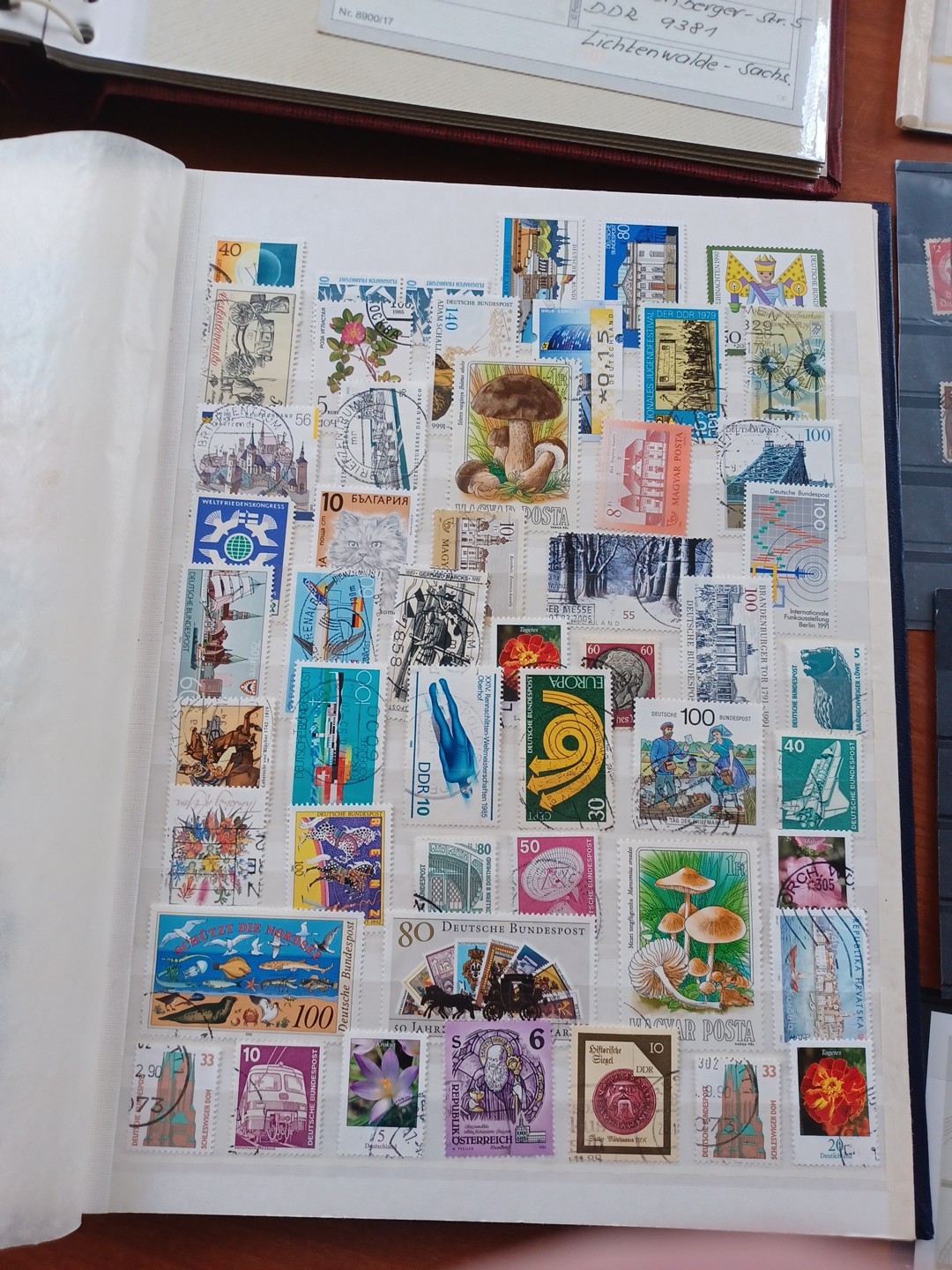 Bild 11 von 12