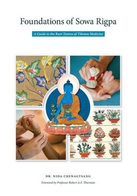 Foundations of Sowa Rigpa | Nida Chenagtsang | englisch
