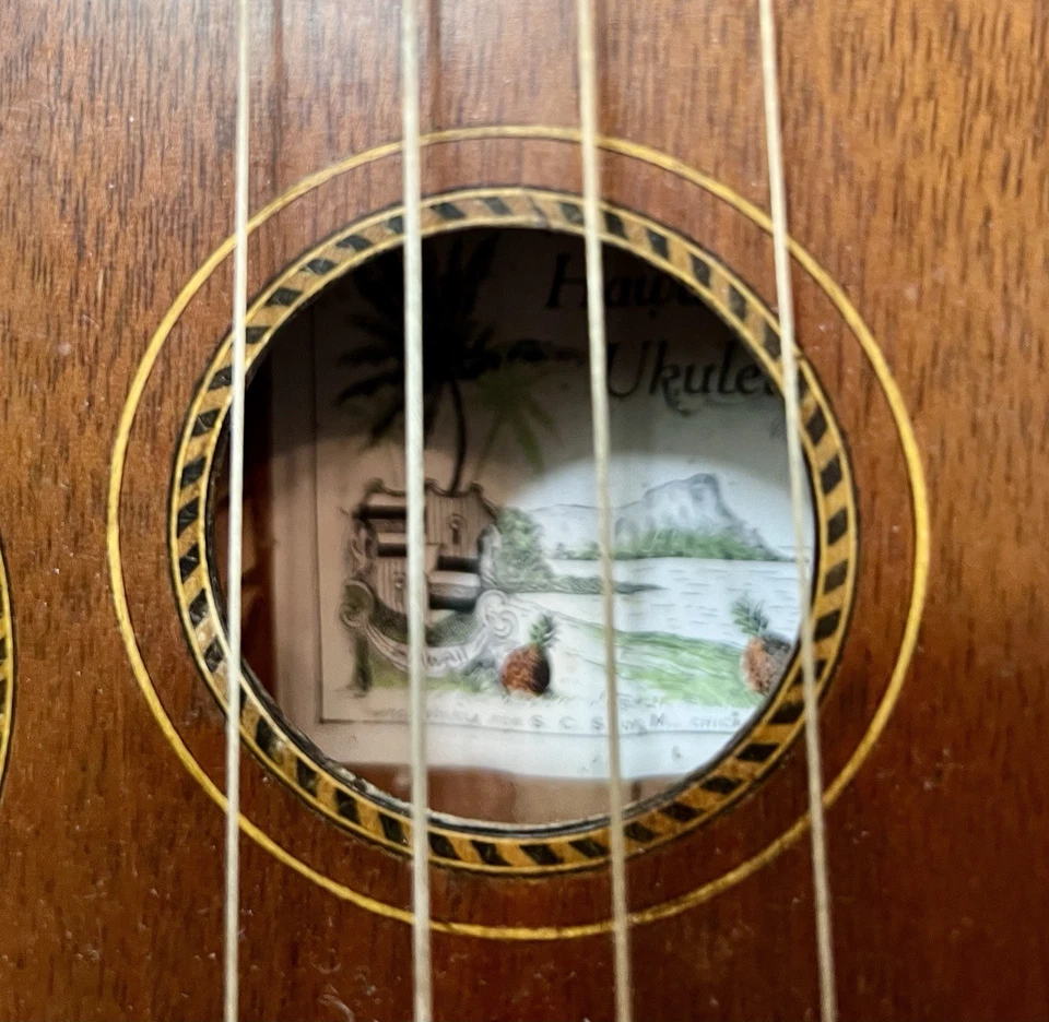 Ukelele vintage Slingerland Foto 3 de 4