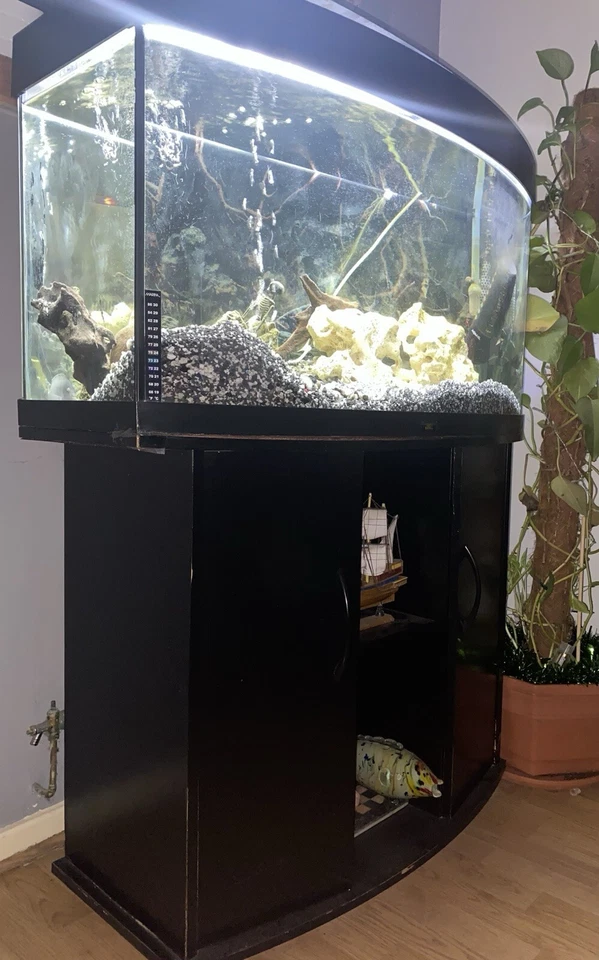 Juwel Large Aquarium Fish Tank with Cabinet stand and Accesories - Image 2 of 4