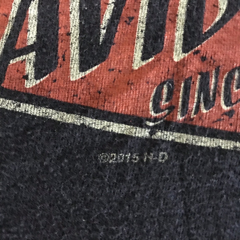 T-shirt Homme Vintage Harley-Davidson Pigeon Forge - Taille L - Coton - Occasion Très Bon état