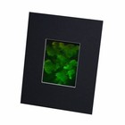 Bild 3 von 7