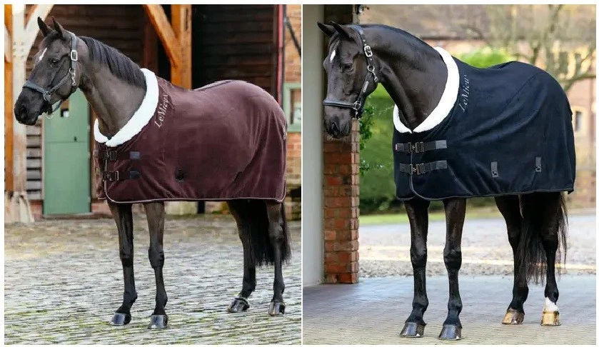 LeMieux Herren Hoodie Fleece gefütterter Kapuzenpullover gebürstet Pullover Pullover Oberteil schwarz/Fichte