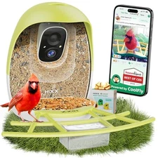 Smart Bird Feeder with Camera, Lifetime Free AI Identify Birds & Spring Green