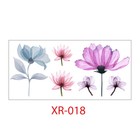 Foto 33 di 35