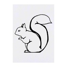 'Squirrel' Temporary Tattoos / Transfers TO00020033 