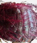 Bild 4 von 5