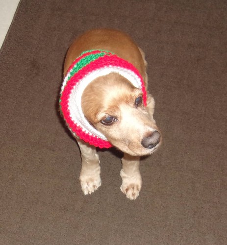 Handmade Red Green White Dog Snood Neck Warmer Keeps Ears Clean Brand New - Bild 4 von 5