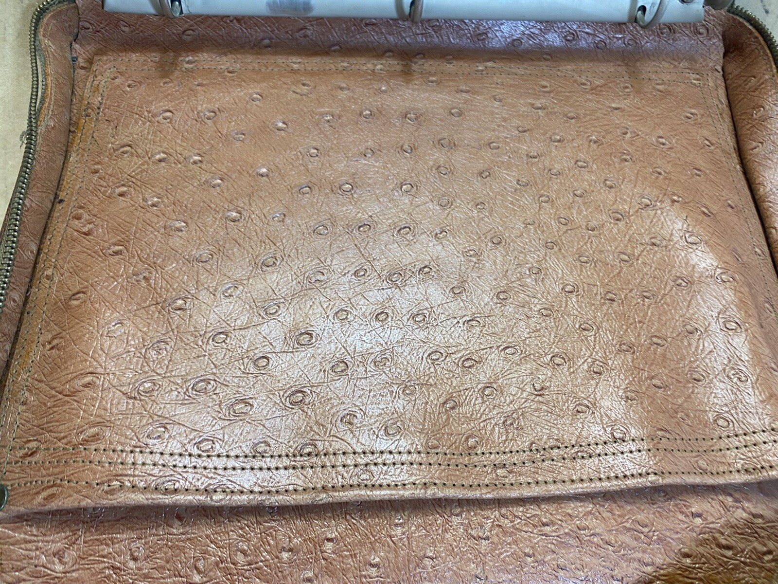 Picture 6 of 10