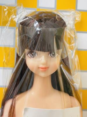 Licca Chan Castle Otakami Doll Sayaka Jenny Friend Special | eBay