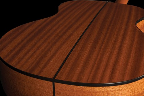 WASHBURN APPRENTICE G-MINI 5 Acoustic Guitar 7/8 Size (2 finishes)FREE SHIPPING! - Picture 9 of 18