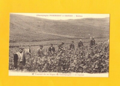 REIMS (51) VINE TRIMMING Work of VINEEMAKER / CHAMPAGNE ''POMMERY & GRENO'' 1900