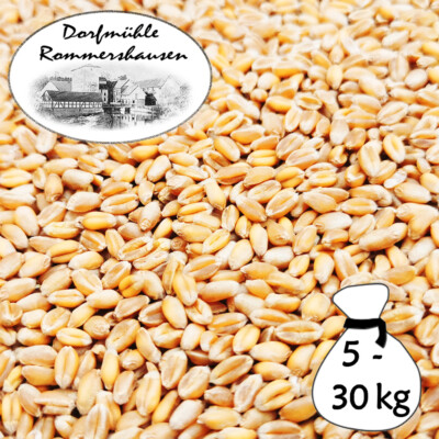 5-30kg Weizen Gereinigt Hühnerfutter Futterweizen Einzelfuttermittel DML