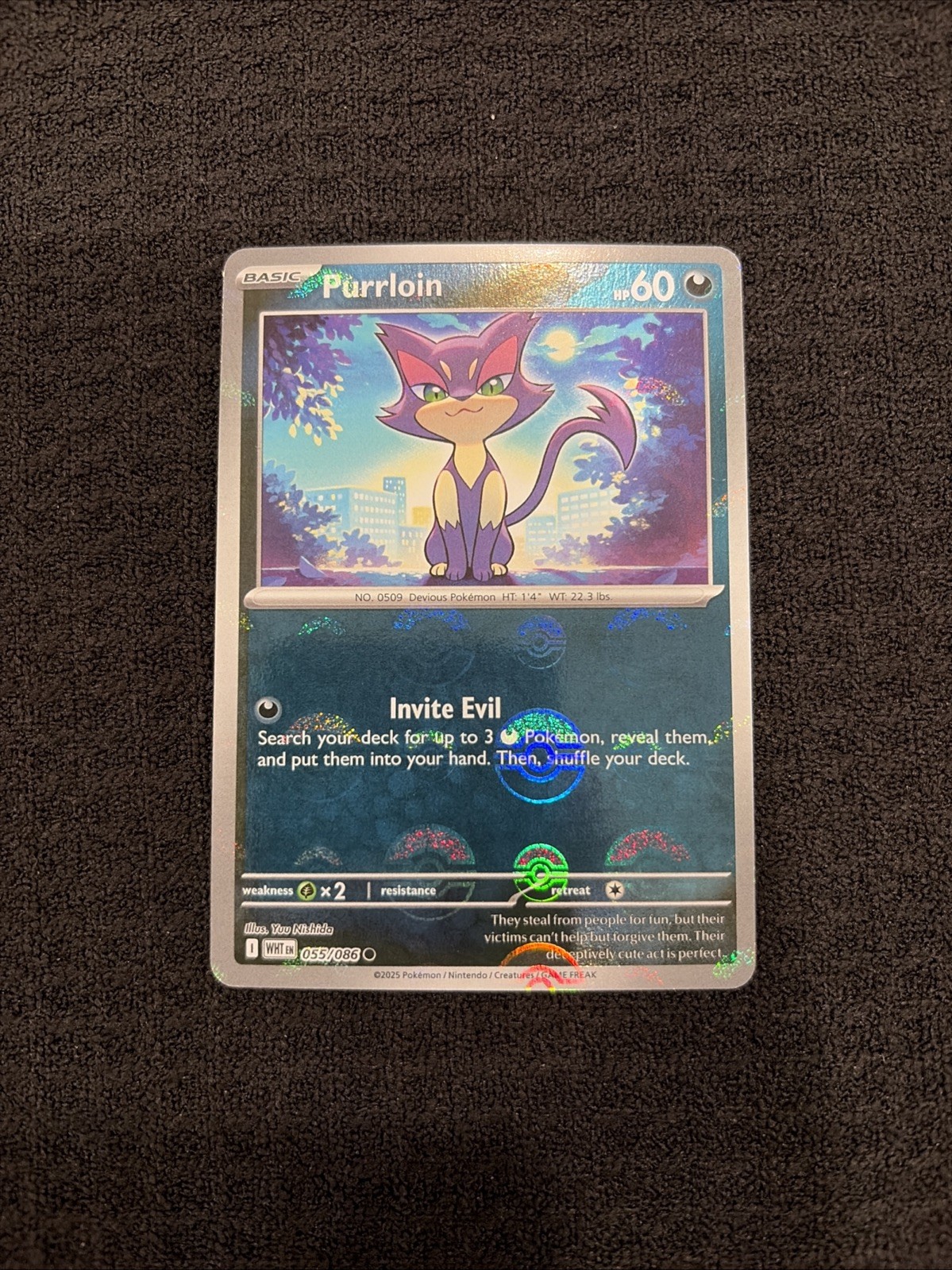 Pokemon TCG Purrloin 055/086 SV: White Flare Poke Ball Pattern Reverse Holo NM