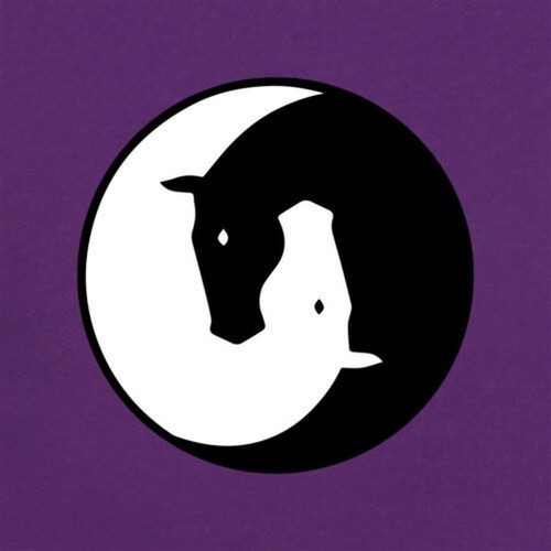 Yin Yang Horses - Kids Hoodie Horse Riding Rider Jockey Love Hobby Ride Racing - Picture 3 of 12