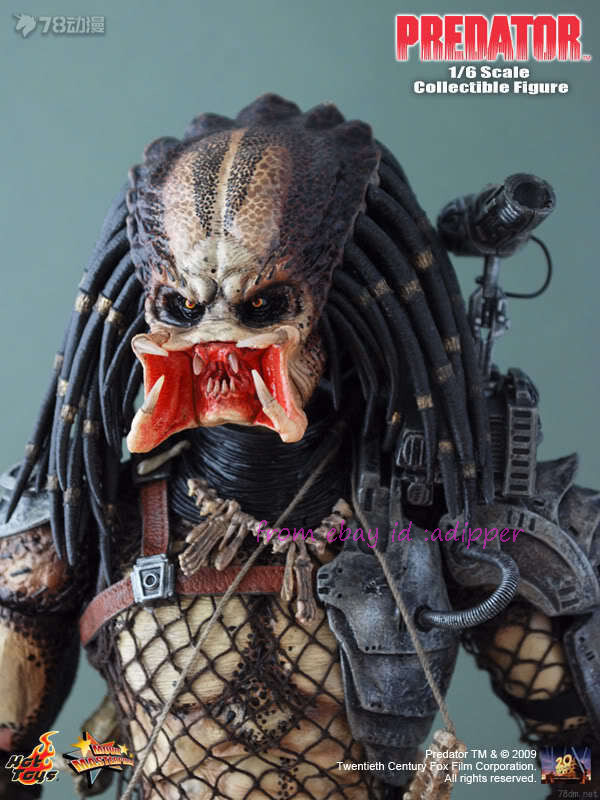 Perfect Hot Toys Mms90 1/6 Jungle Hunter Predator 1987 Out