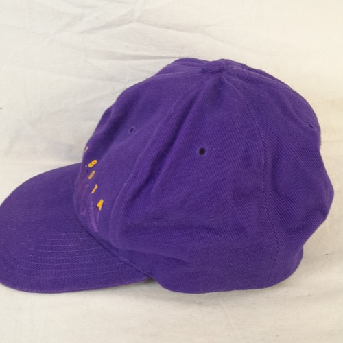 Minnesota Vikings Hat Cap Adjustable Twins Enterprises NFL Purple - Picture 4 of 12