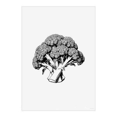 Wandbilder Poster Drucke ''Detaillierter Brokkoli'' (PP051794)