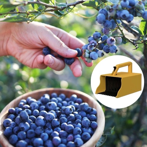Elderberry Picking Efficient Blueberry Picking Harrow Lightweight Portable - Picture 4 of 8