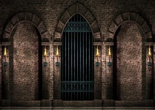 Best BELECO 7x5ft Fabric Gothic Castle Photography Backdrop Ancient Stone Wall