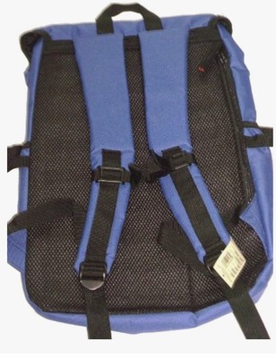 American Eagle Outfitters Blue Hiking Backpack NWT | eBay display picture 3