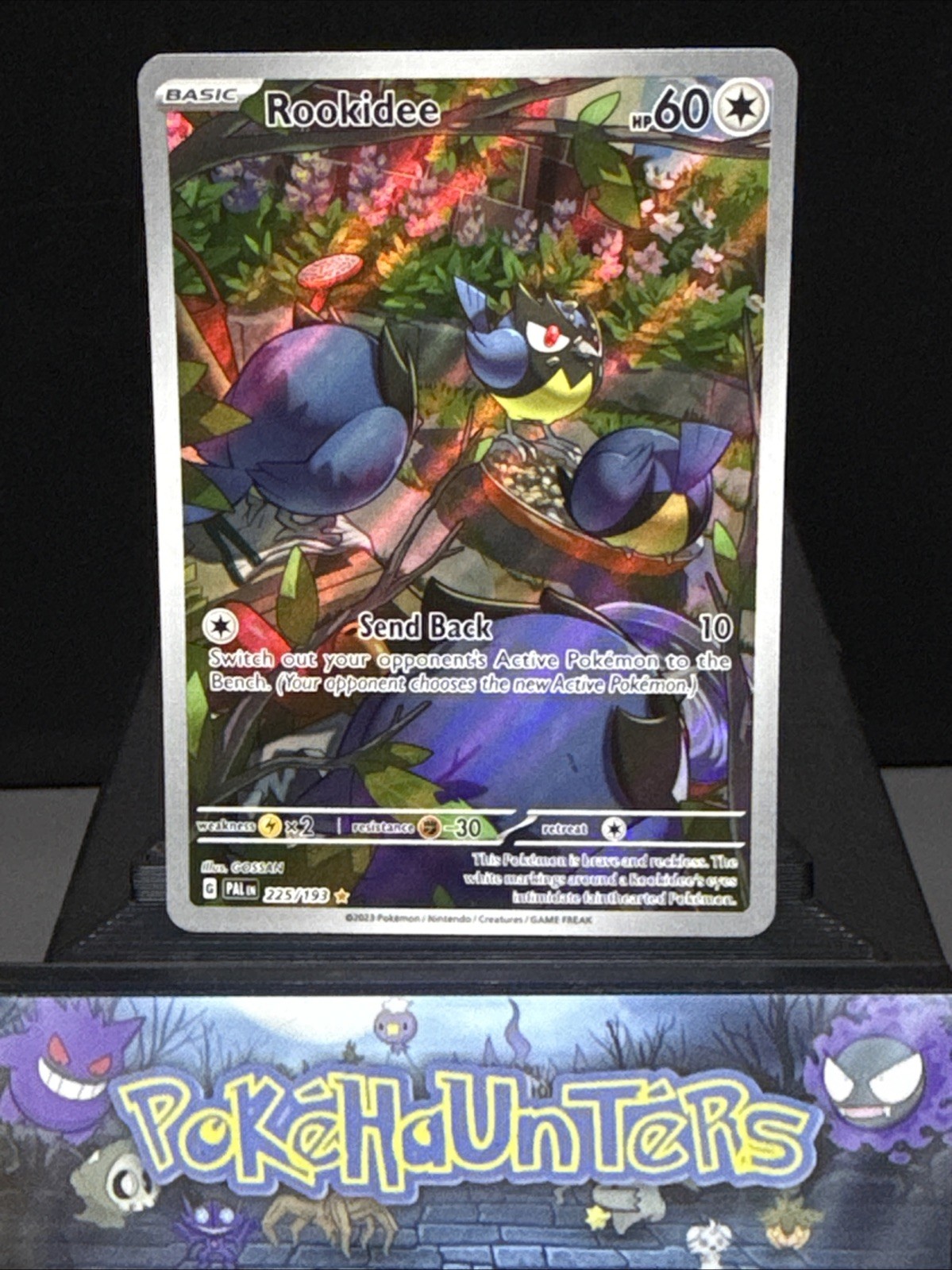 Pokemon Card Rookidee 225/193 Paldea Evolved Illustration Rare Near Mint