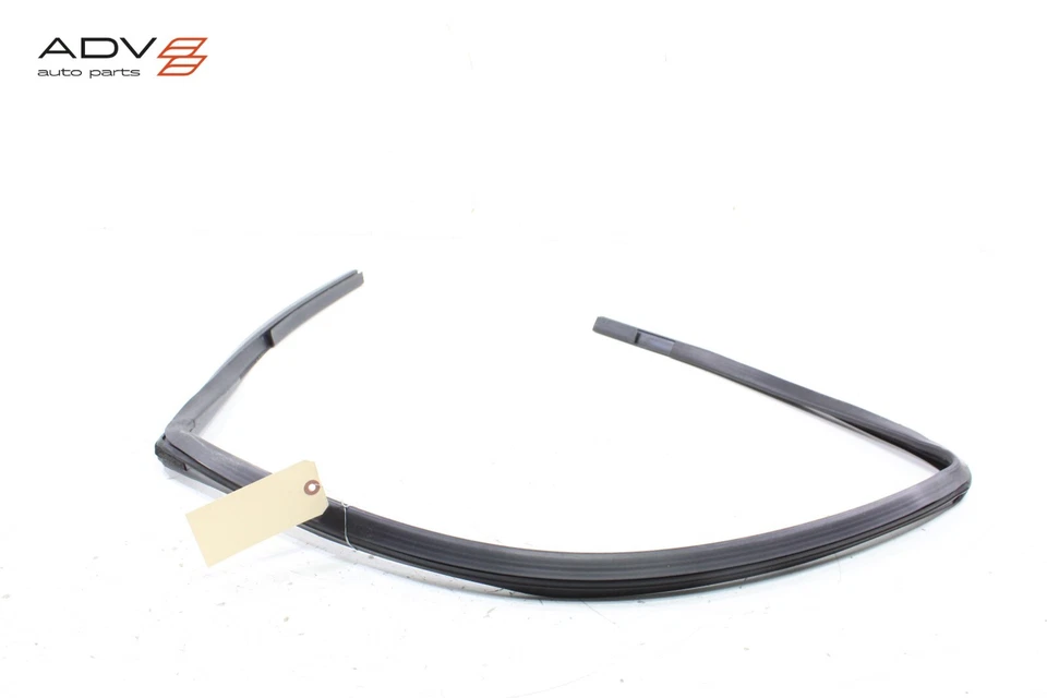 RAM 1500 2009-2023 cabina regular puerta izquierda ventana cristal canal funcionamiento sello OEM Foto 3 de 4