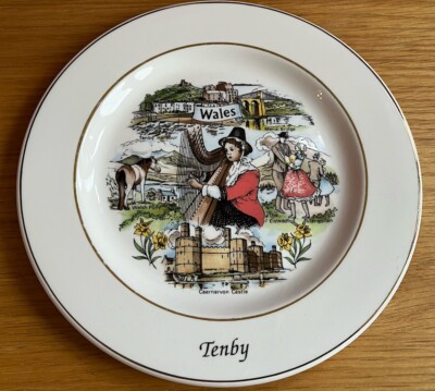 GW Potteries Fine China 8 Zoll Sammlerteller TENBY Pembrokeshire Wales