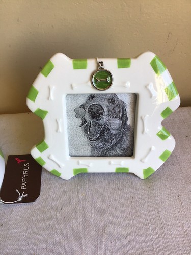 Brand New Papyrus Ceramic Green And White Dog Bowl With Charm And Frame Gift Set - Picture 2 of 6