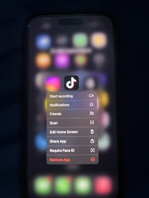 iPhone 14 Pro Max With Original TikTok Downloaded