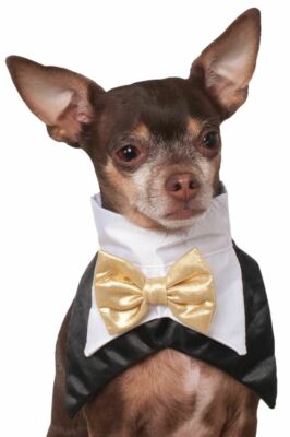 Bowtie Vest Tuxedo Large - XLarge Dog Pet Costume Bandana Rubies Pet Shop