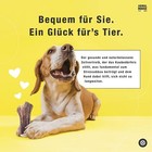 Bild 5 von 7