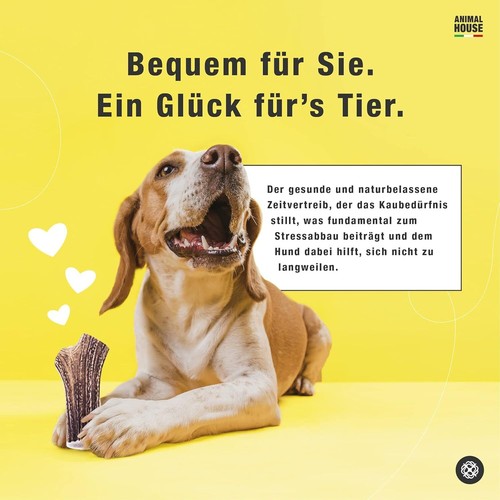 – Geteiltes Hirschgeweih für Hunde – 100% natürlicher Kausnack – Stärkt die M... - Bild 5 von 7