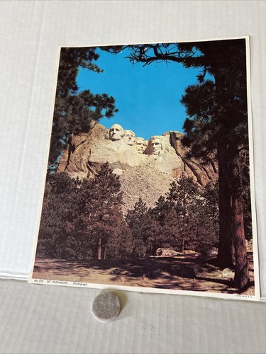 Lot Freiheitsstatue, Mount Rushmore, White House Eagle, Wolf, 8 x 10" Bilder - Bild 2 von 12