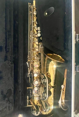 Giardinelli GAS-300 Alto Saxophone incl. mouthpiece, strap, hardcase