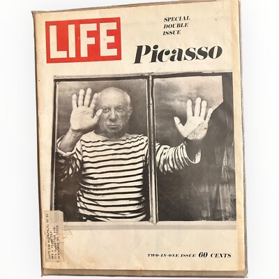 US洋書　LIFE 1969.12.22 ISSUE THE 60's US洋書 LIFE 1969.12.22 ISSUE THE 60's US洋書 LIFE 1969.12.22