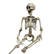 Skelett Halloween 96cm H Beweglich / Lehrmode...