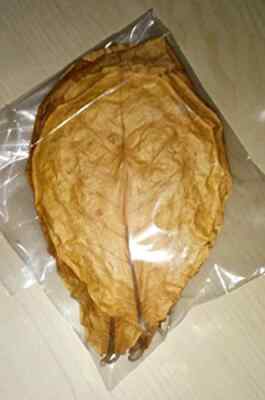 25 pcs almond leaves catappa Indian almond leaf shrimp betta fish aquarium care