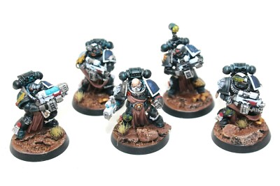 Warhammer Space Marines Sternguard Veterans Well Painted - JYS94