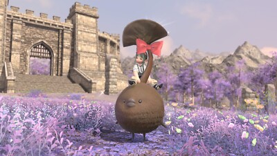 Final Fantasy 14 Chocorpokkur Mount *Instant delivery*