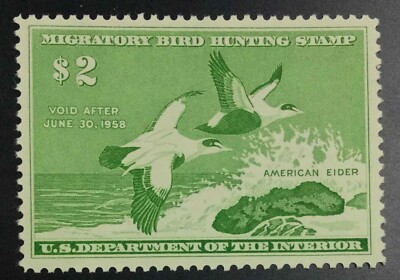 MOMEN: US STAMPS #RW24 DUCK MINT OG NH VF/XF JUMBO LOT #72966* | eBay