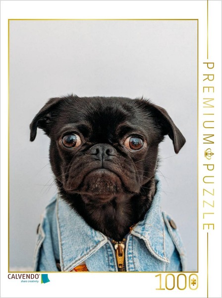 "Calvendo Puzzle An Image From The \"Dog Love\" Calendar – 2020 Calendar | 1000 Pie"-image