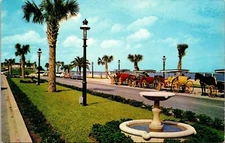 St Augustine Florida Sightseeing Carriages Palm Trees Fountain Chrome Postcard