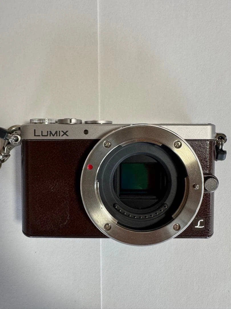 Panasonic LUMIX GM1 Digital Cameras for Sale | Shop New & Used