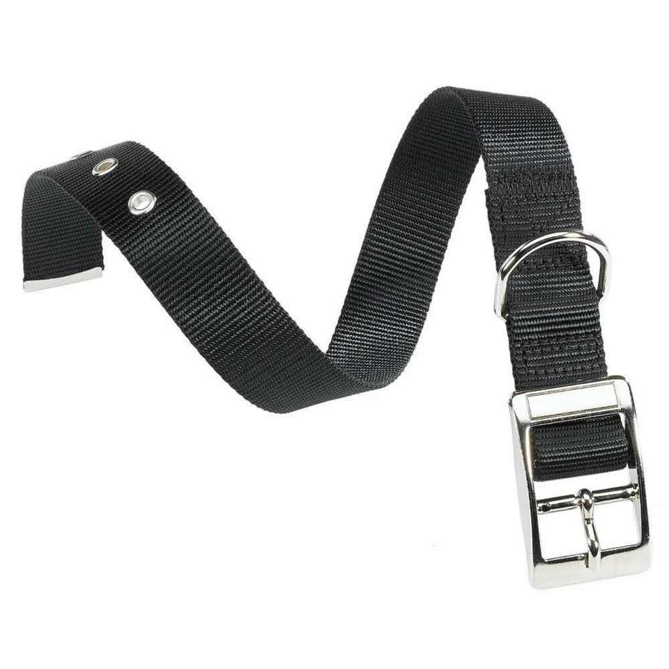 Collier chien MOYEN Nylon Métal Boucle chromé Ferplast Club CF 20-43 NOIR - Photo 1/1