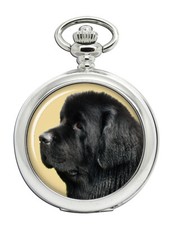 Newfoundland Dog Pocket Watch